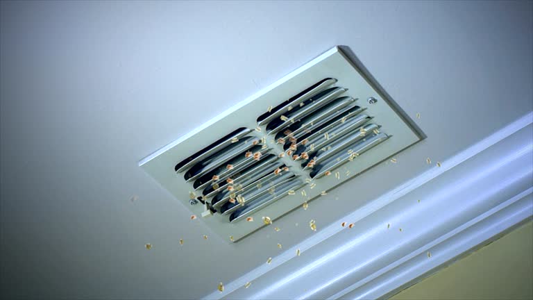 Best Professional Duct Cleaning Services  in Silver Summit, UT